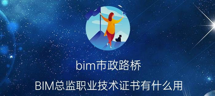 bim市政路桥 BIM总监职业技术证书有什么用？